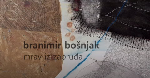 Poetski tren - Branimir Bošnjak
